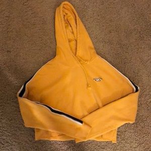 Hollister cropped hoodie